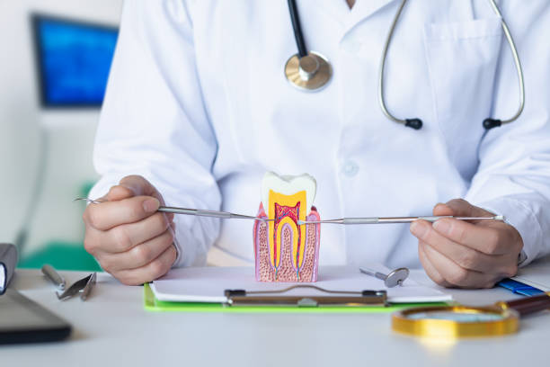 Best Broken or Cracked Tooth Emergency Dentist in Corning, IA
